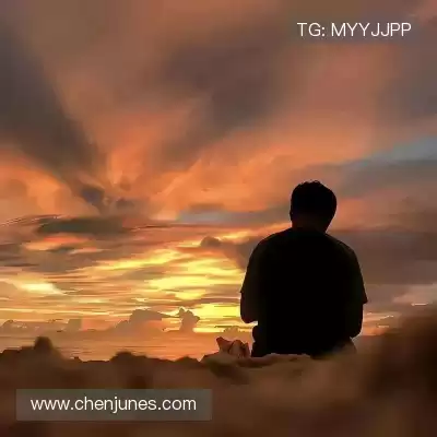 陈泉晶